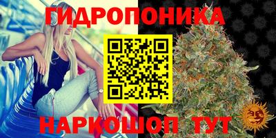 ПСИЛОЦИБИНОВЫЕ ГРИБЫ Беслан