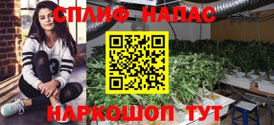 ПСИЛОЦИБИНОВЫЕ ГРИБЫ Беслан
