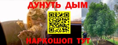 гидропоника Бийск